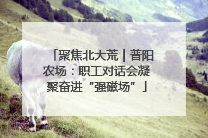 聚焦北大荒｜普阳农场：职工对话会凝聚奋进“强磁场”