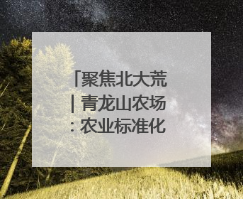 聚焦北大荒｜青龙山农场：农业标准化筑牢全年粮食安全根基
