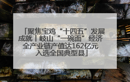 聚焦宝鸡“十四五”发展成就丨岐山“一碗面”经济全产业链产值达162亿元 入选全国典型县
