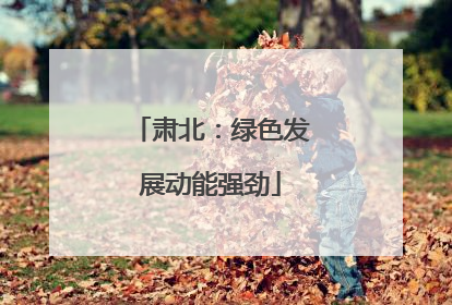 肃北：绿色发展动能强劲
