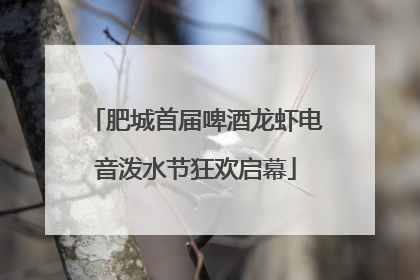 肥城首届啤酒龙虾电音泼水节狂欢启幕
