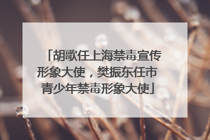 胡歌任上海禁毒宣传形象大使，樊振东任市青少年禁毒形象大使