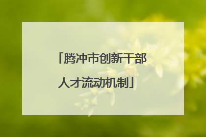 腾冲市创新干部人才流动机制