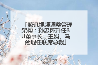 腾讯视频调整管理架构：孙忠怀升任BU董事长，王娟、马延琨任联席总裁