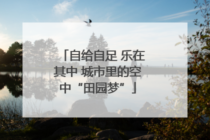 自给自足 乐在其中 城市里的空中“田园梦”