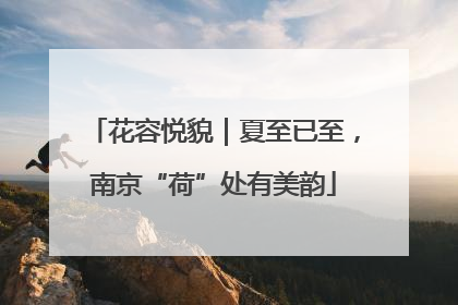 花容悦貌｜夏至已至，南京“荷”处有美韵