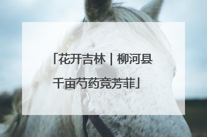 花开吉林｜柳河县千亩芍药竞芳菲