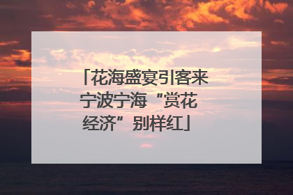 花海盛宴引客来 宁波宁海“赏花经济”别样红