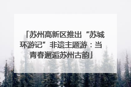苏州高新区推出“苏城环游记”非遗主题游：当青春邂逅苏州古韵