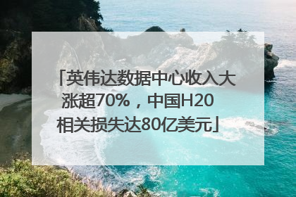 英伟达数据中心收入大涨超70%，中国H20相关损失达80亿美元