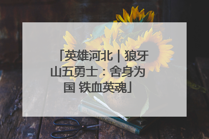 英雄河北｜狼牙山五勇士：舍身为国 铁血英魂