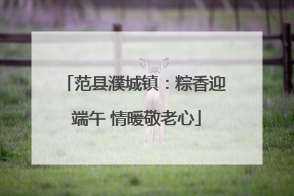 范县濮城镇：粽香迎端午 情暖敬老心