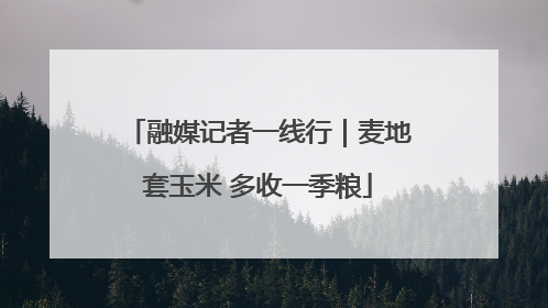融媒记者一线行｜麦地套玉米 多收一季粮