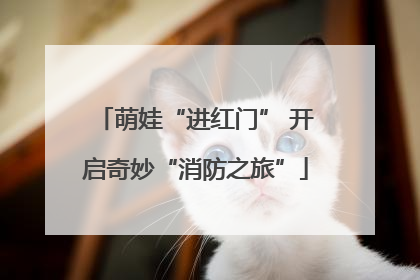 萌娃“进红门” 开启奇妙“消防之旅”