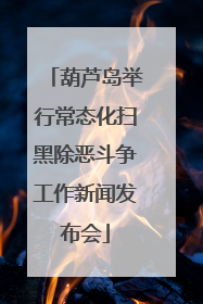 葫芦岛举行常态化扫黑除恶斗争工作新闻发布会