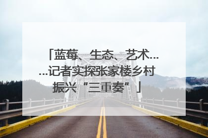 蓝莓、生态、艺术……记者实探张家楼乡村振兴“三重奏”