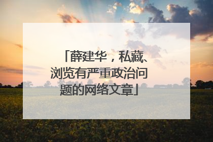 薛建华，私藏、浏览有严重政治问题的网络文章