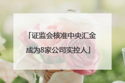 证监会核准中央汇金成为8家公司实控人
