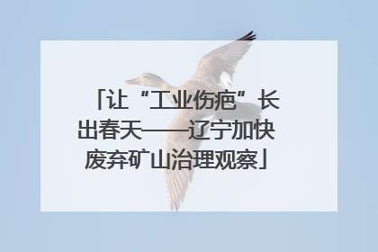 让“工业伤疤”长出春天——辽宁加快废弃矿山治理观察