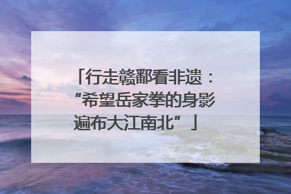 行走赣鄱看非遗：“希望岳家拳的身影遍布大江南北”