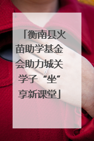 衡南县火苗助学基金会助力城关学子“坐”享新课堂