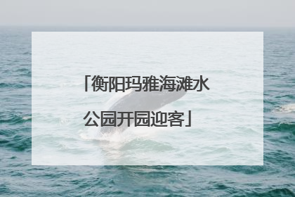 衡阳玛雅海滩水公园开园迎客