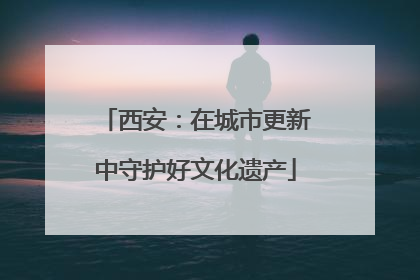 西安：在城市更新中守护好文化遗产