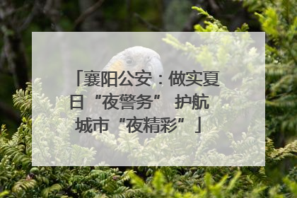 襄阳公安：做实夏日“夜警务” 护航城市“夜精彩”