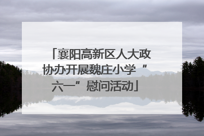襄阳高新区人大政协办开展魏庄小学“六一”慰问活动