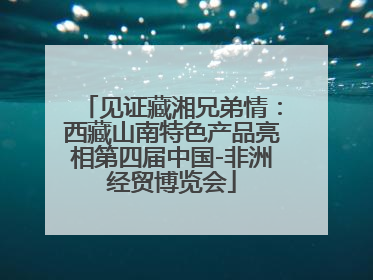 见证藏湘兄弟情：西藏山南特色产品亮相第四届中国-非洲经贸博览会