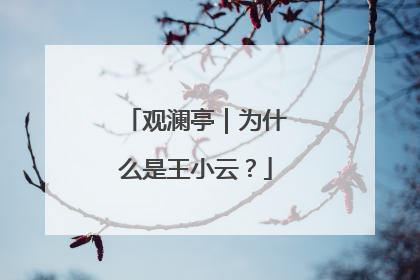 观澜亭｜为什么是王小云？