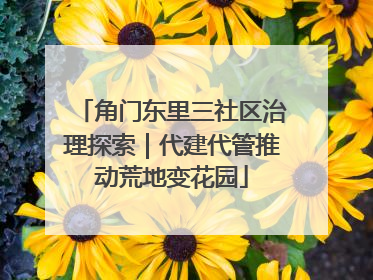 角门东里三社区治理探索｜代建代管推动荒地变花园