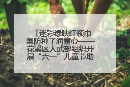迷彩绿映红领巾 国防种子润童心——花溪区人武部组织开展“六一”儿童节助学兴教活动