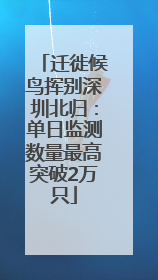 迁徙候鸟挥别深圳北归：单日监测数量最高突破2万只