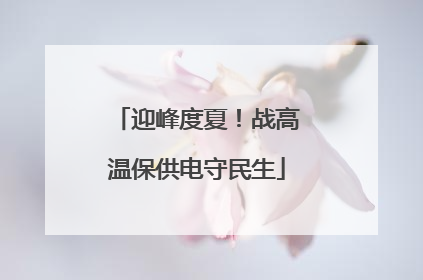 迎峰度夏！战高温保供电守民生