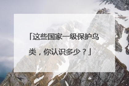 这些国家一级保护鸟类，你认识多少？