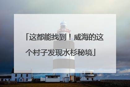 这都能找到！威海的这个村子发现水杉秘境