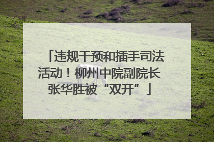 违规干预和插手司法活动！柳州中院副院长张华胜被“双开”