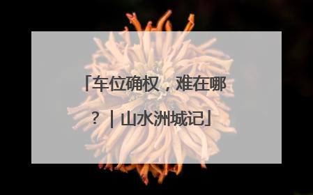 车位确权，难在哪？｜山水洲城记