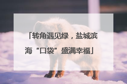 转角遇见绿，盐城滨海“口袋”盛满幸福