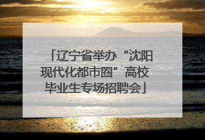 辽宁省举办“沈阳现代化都市圈”高校毕业生专场招聘会