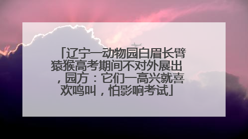 辽宁一动物园白眉长臂猿猴高考期间不对外展出，园方：它们一高兴就喜欢鸣叫，怕影响考试