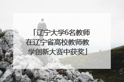 辽宁大学6名教师在辽宁省高校教师教学创新大赛中获奖