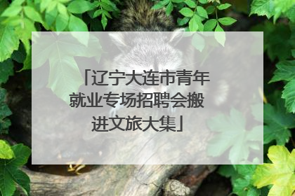 辽宁大连市青年就业专场招聘会搬进文旅大集