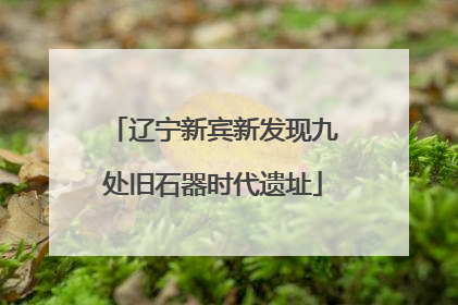 辽宁新宾新发现九处旧石器时代遗址