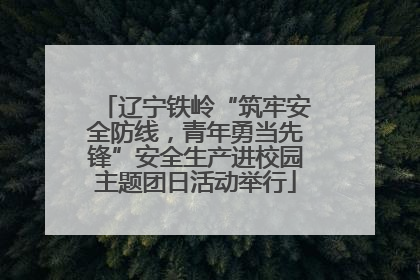 辽宁铁岭“筑牢安全防线，青年勇当先锋”安全生产进校园主题团日活动举行