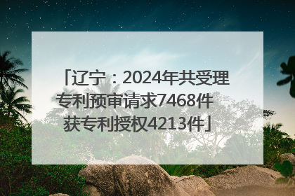 辽宁：2024年共受理专利预审请求7468件 获专利授权4213件