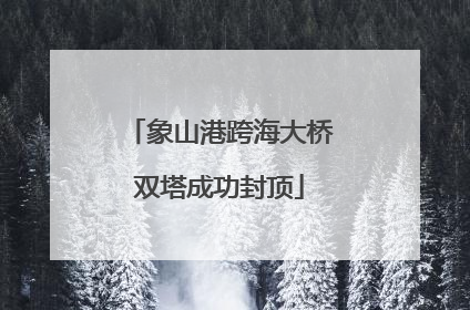 象山港跨海大桥双塔成功封顶