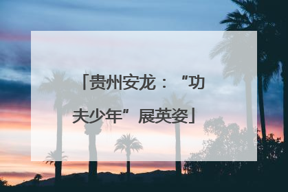 贵州安龙：“功夫少年”展英姿