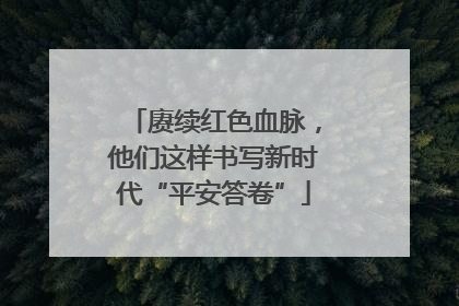 赓续红色血脉，他们这样书写新时代“平安答卷”